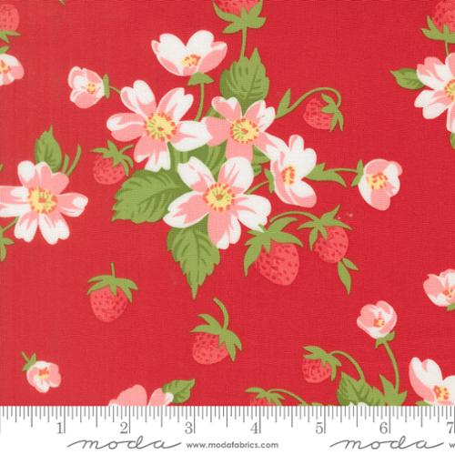 Bloomsberry Red 55350 18 Moda, by the yard