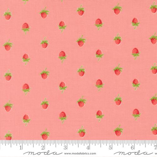Bloomsberry Blush 55352 16 Moda , by the yard