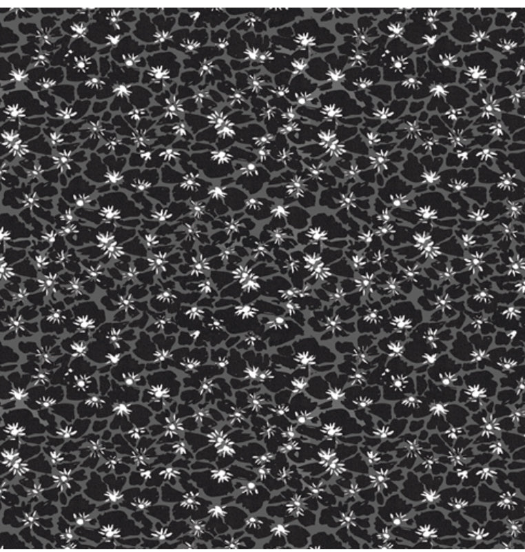 Efflorescent Blanket Coal