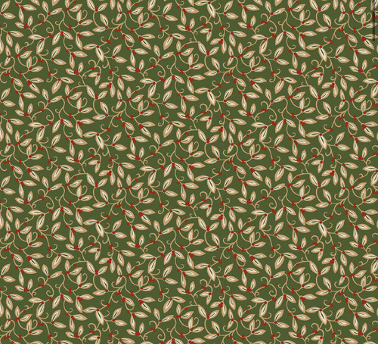 Mistletoe - Green || The Cotswold Holiday Collection