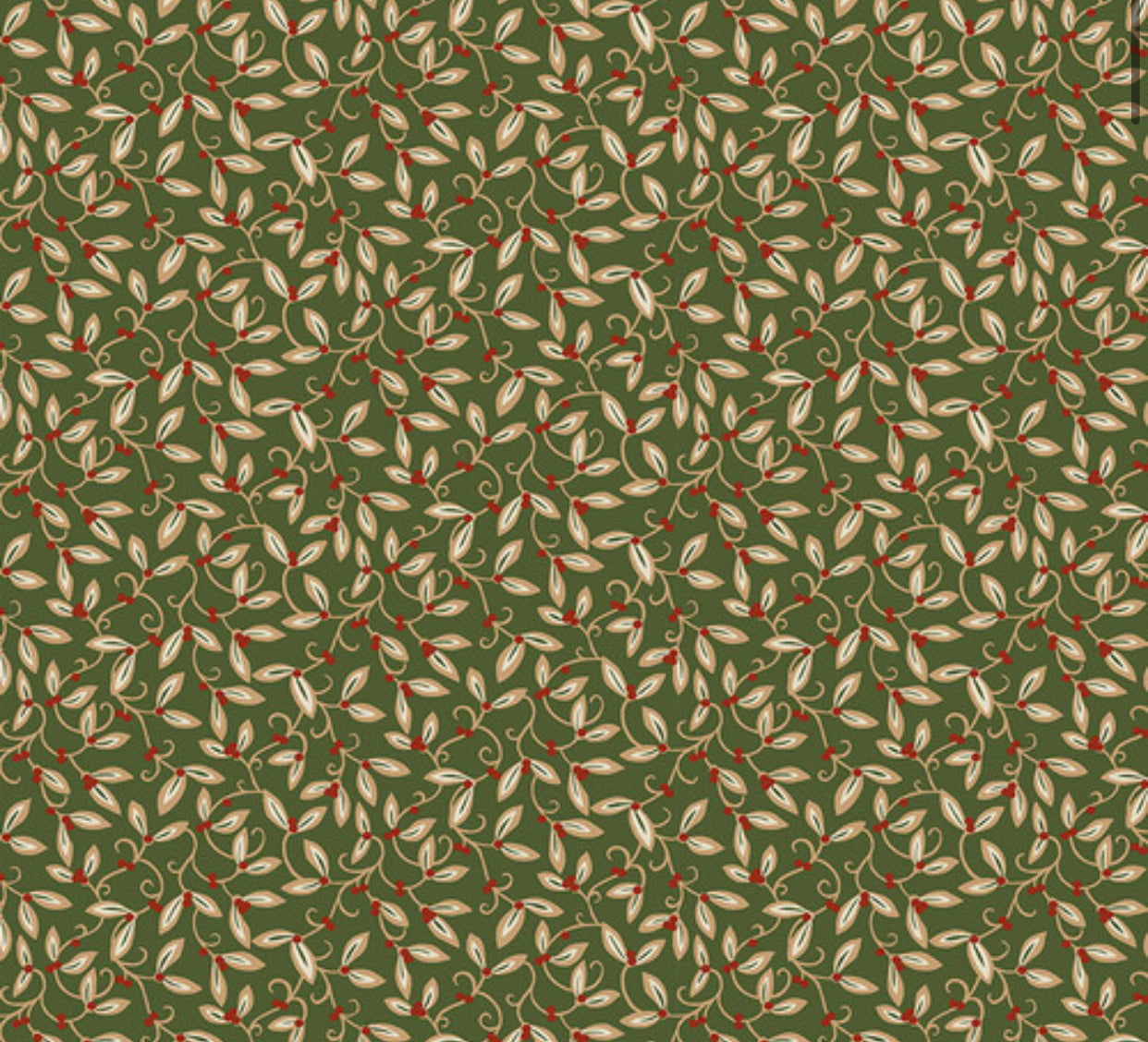 Mistletoe - Green || The Cotswold Holiday Collection