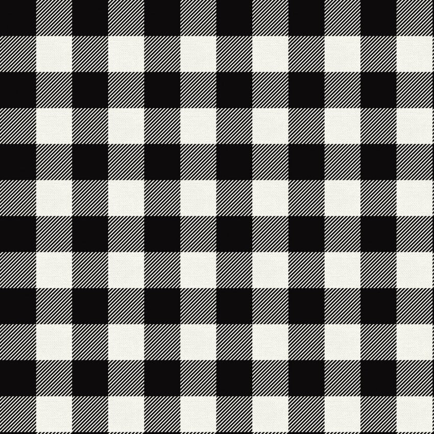 Black and White, Buffalo Check by Paintbrush Studios