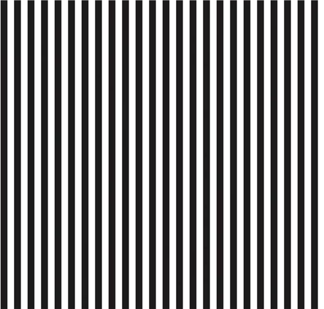 1/4" Stripe Black from Riley Blake