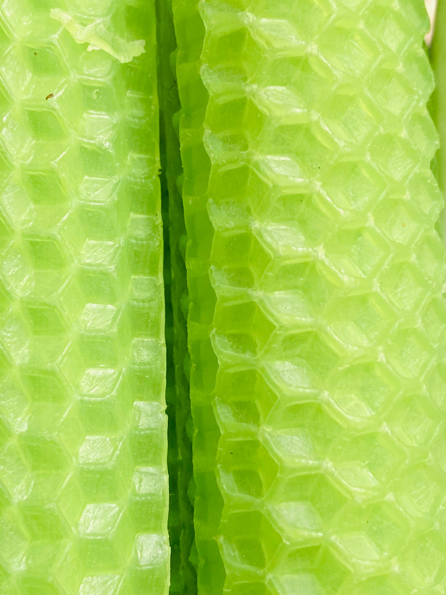 Locally Handmade 100% Pure Beeswax Candles