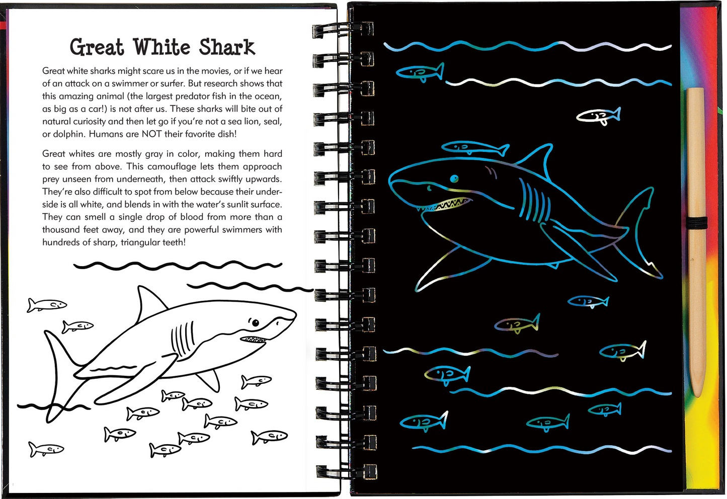 Scratch & Sketch™ Sharks (Trace Along)
