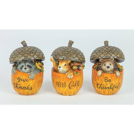 ACORN Animals fall themed, three to choose from
