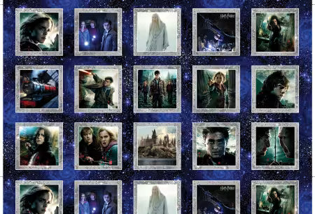 Wizarding Boxes Multi by the yard