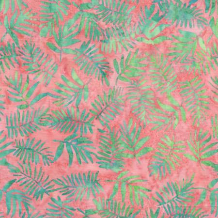 Pink Ferns Adore, Baliscapes by the yard