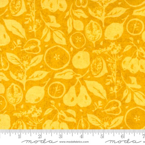 Fruit Loop Sunshine 30732 16 Moda, by the yard