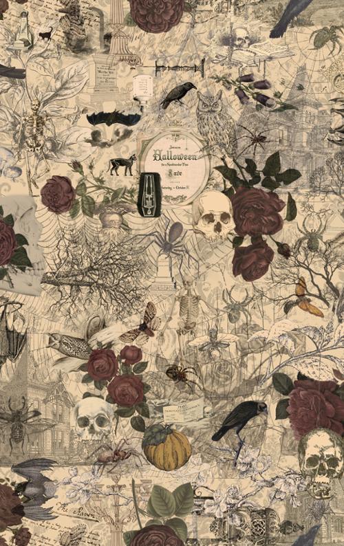 3 Sisters Haunted Mansion Multi 44371 11 Moda