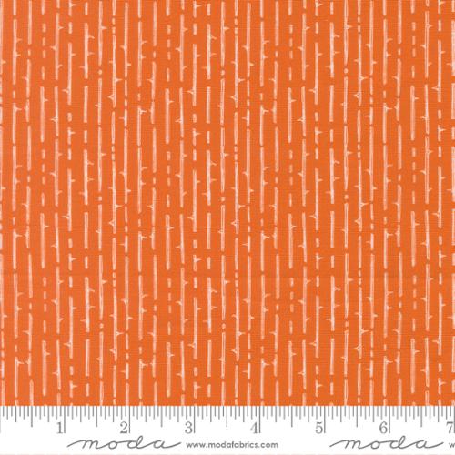 Coven Pupmkin Spice Thorny Stripes 48806 13 Moda by the yard