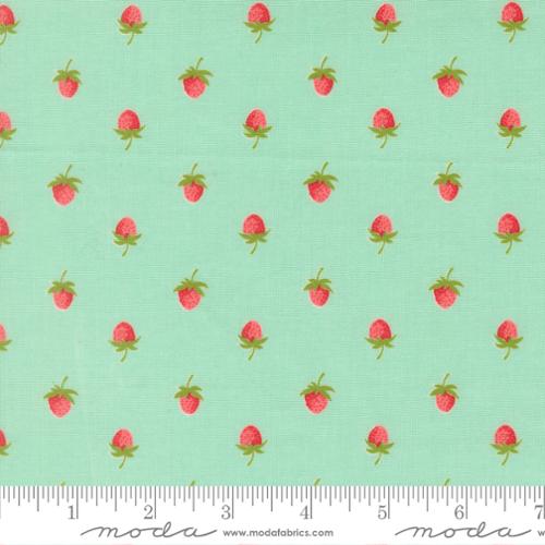 Bloomsberry Aqua 55352 13 Moda , by the yard