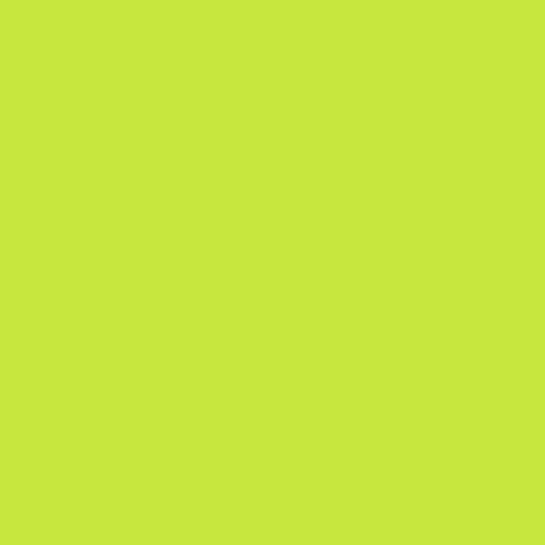 Tula Pink Solids - Limeade || Tula Pink Solids