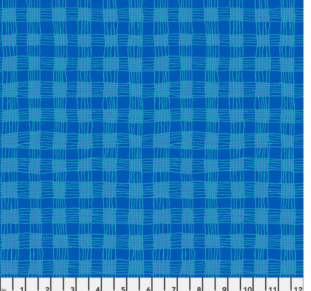 Gingham Blue the Kaffe Fassett Collection