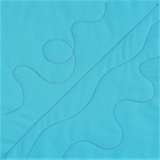 BERNINA Owner’s Class: Leather Roller Foot #55, Faux Free Motion, Jumbo piping and more, Wednesday 9/30/26 5:30-7:30pm