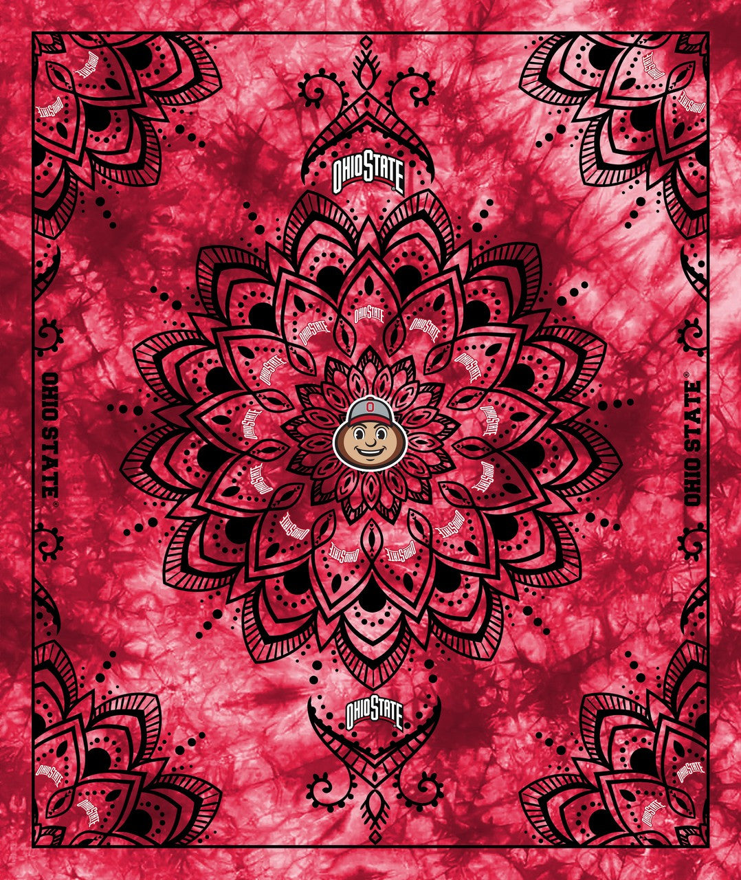 Officially Licensed Minky Fleece Ohio State Buckeyes Wall Tapestry and Throw Blanket-48" x 56"