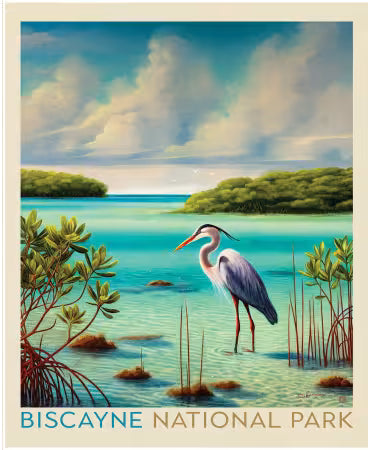 National Parks 35 1/2in x 43 1/2in Biscayne Poster Panel from Riley Blake