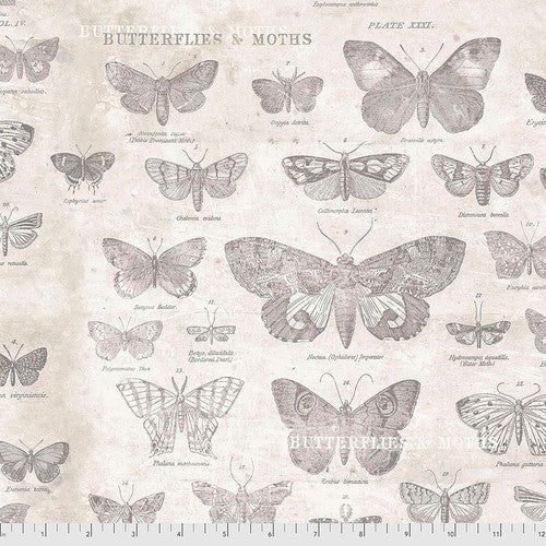 Tim Holtz, Eclectic Elements From Butterflies Parchment