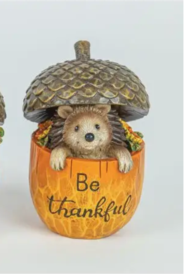 ACORN Animals fall themed, three to choose from