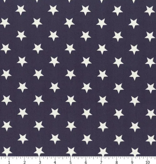 Monthly Placemats Navy by Riley Blake Fabric by the yard