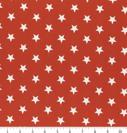 Monthly Placemats Red by Riley Blake Fabric by the yard