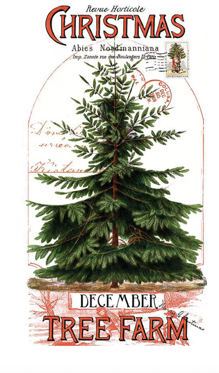 Classic Christmas Christmas Botanical Main Panelt Riley Blake by the Panel