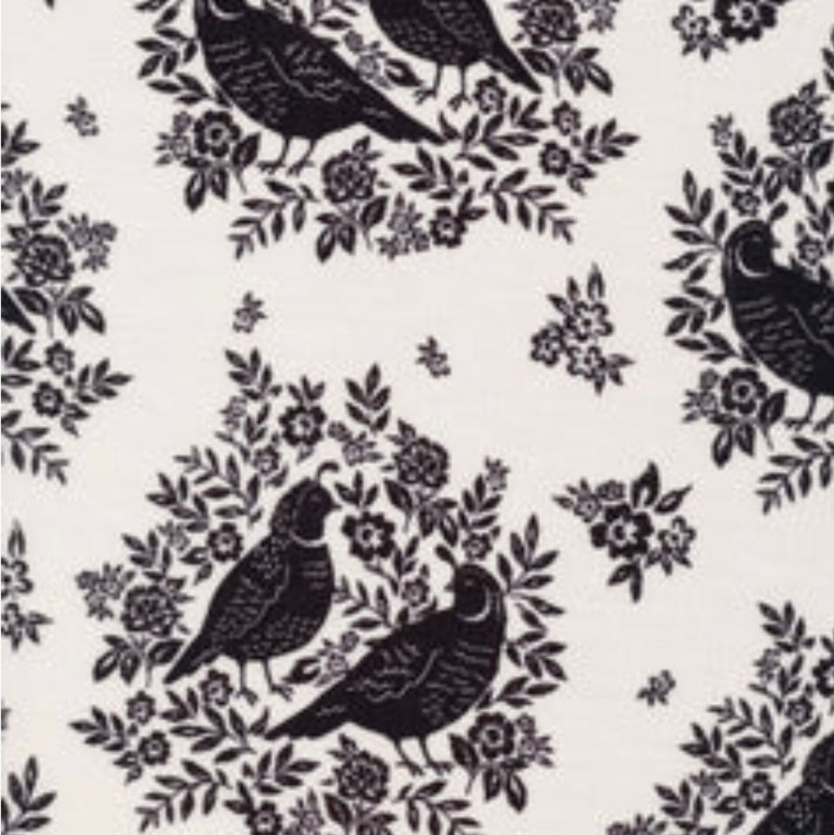 Cloud 9 Fabrics, Flora Quail Lane