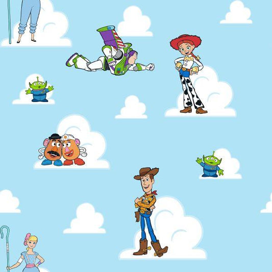 Toy Story Characters with Blue Sky