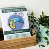 Chameleon Beginner Kit