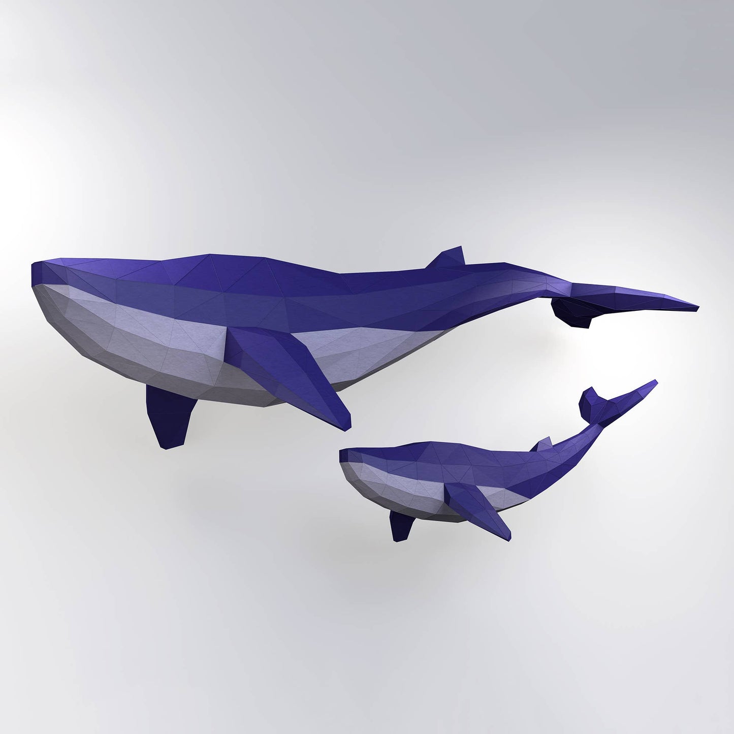 Whale Model