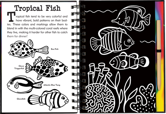 Scratch & Sketch™ Under the Sea (Trace Along)